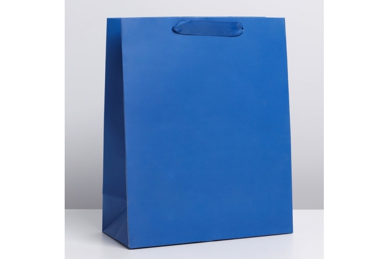 Пакет ламинированный «Синий», ML 23 × 27 × 11.5 см